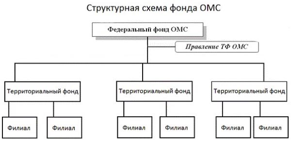 Структура Фонда ОМС