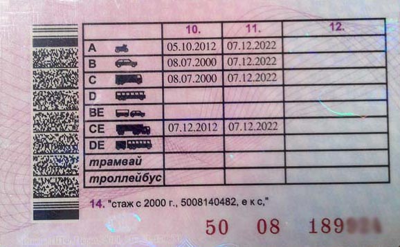 Образец водительского удостоверения - оборотная сторона