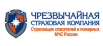 Чрезвычайная страховая компания