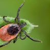 Источник фото: ampravda.ru